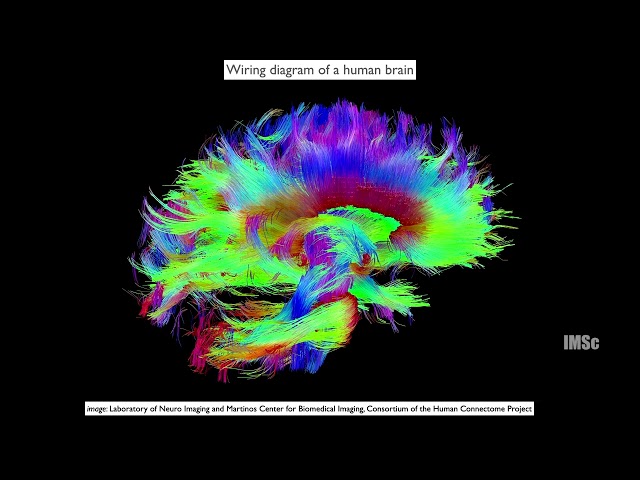 Complex networks