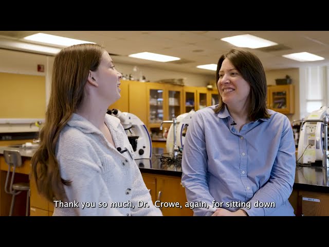 Neuroscience Major: Exploring the Human Brain and Beyond