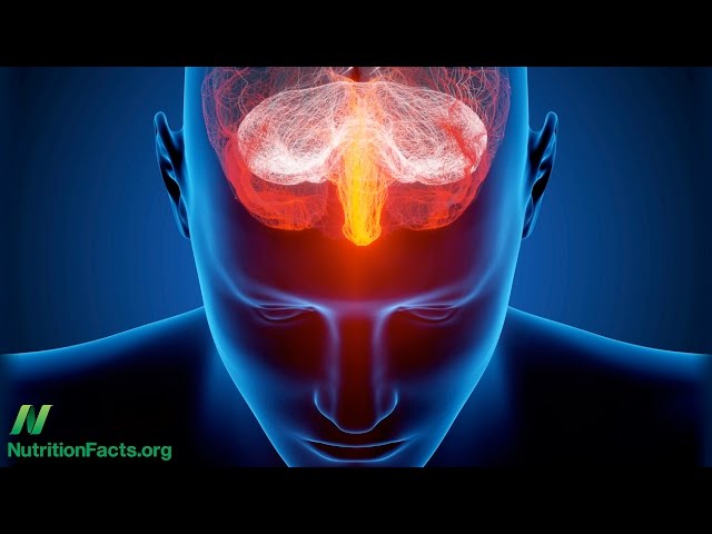 Anti-Inflammatory Diet for Depression