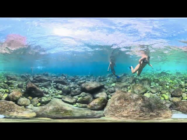 360° Underwater Journey Through Mediterranean Hidden Bays | 8K