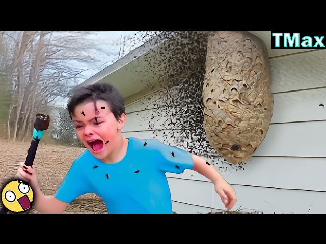 TOTAL IDIOTS AT WORK / Instant Regret Fails Compilation 2026 / Best Fails of the Month #33