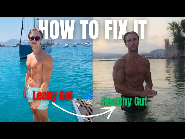 How To Fix Gut Health For Good