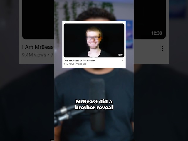MrBeast's Brother Reveal