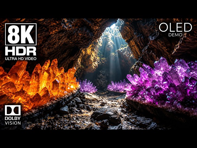 Ultimate OLED Brilliance | 8K HDR Dolby Vision Visual Demo