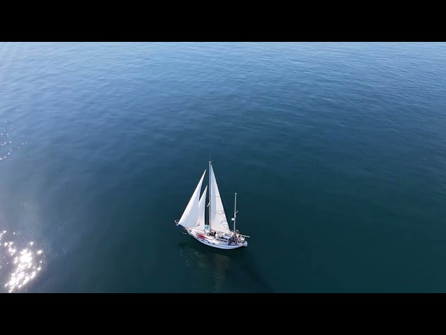 Solo Sailboat on a Perfect Day ⛵ | Royalty-Free Stock Footage