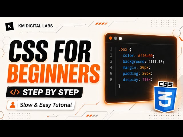CSS for Beginners: Learn CSS Step by Step | KM Digital Labs