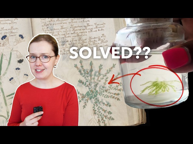 Has TikTok decoded the Voynich Manuscript?