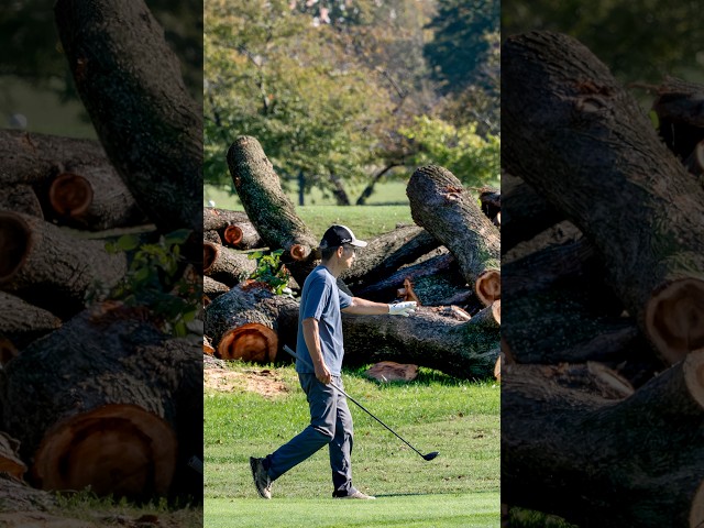 Trump vows golf course renovation work to start ‘immediately’ despite legal dispute