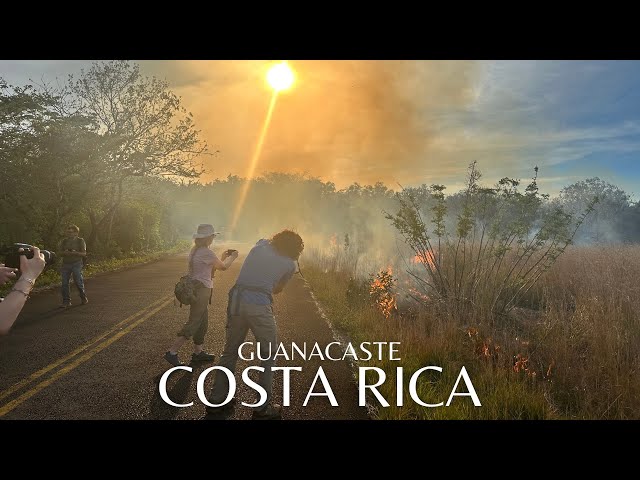 How To Create Your Firebreak Now | The Controlled Burns of Costa Rica