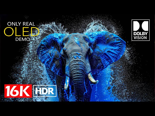 The Coolest Dolby Vision 16K HDR 60fps (8K Video ULTRA HD)