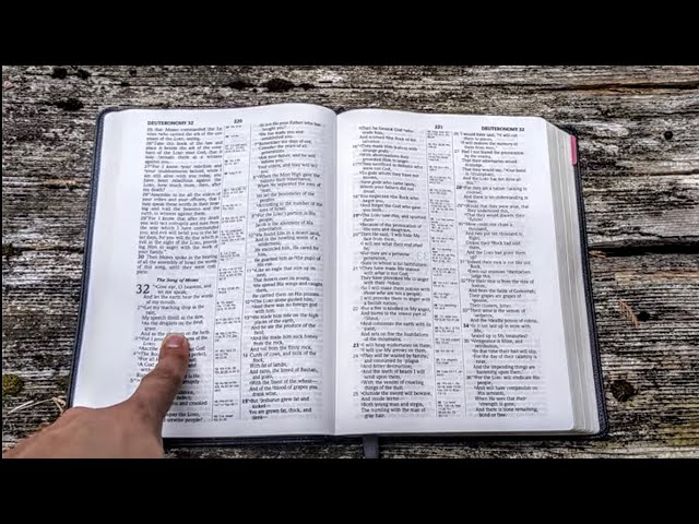 Yeah This Thing Is Awesome! NASB1995 Large Print Ultra Thin Bible 