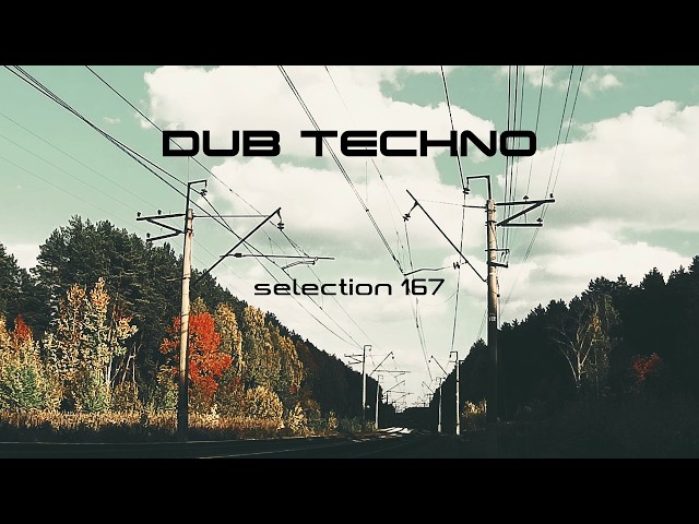 DUB TECHNO || Selection 167 || Deep State Dub
