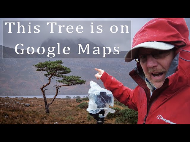 This Tree is on Google Maps, Scotland Vanlife Landscape Photography Tips Loch Maree and Loch Claire