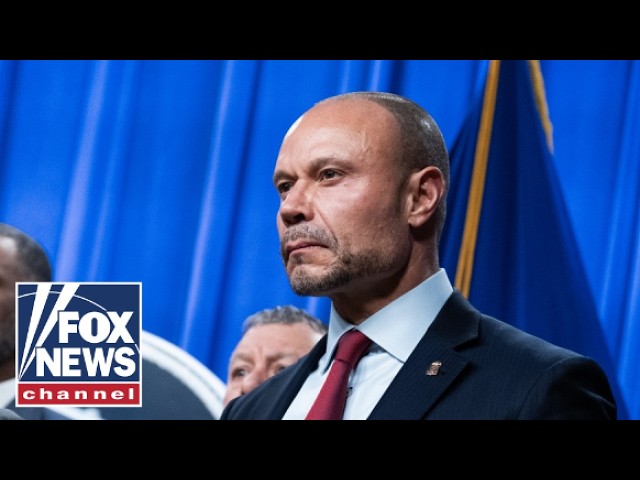 Bongino: We’ve got a REAL problem…