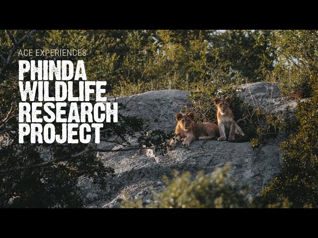 One Of The Great Success Stories Of African Wildlife Conservation | WWF