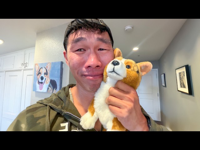 Granting My Corgi's Final Wish