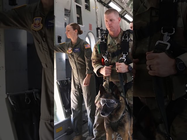 No Turning Back! Military K9 Jumps From a C-130!