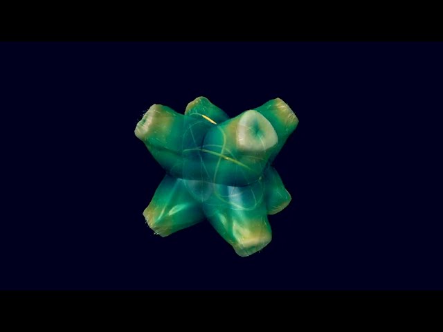 Navier-Stokes in Action: The Oscillating 3-Seed