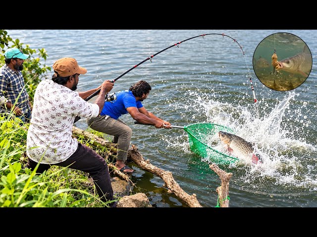 Big Rohu Fish Caught With 3 Hook Float Fishing Technique 🎣 | Indian Fishing Tips & Tricks