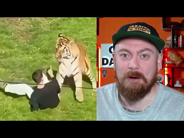 The Yorkshire Tiger Attack