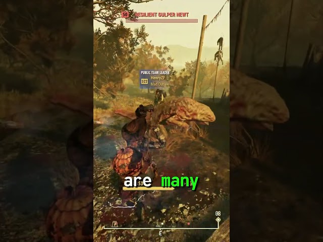 This Is A Trap That Many New Players To Fallout 76 Fall Into