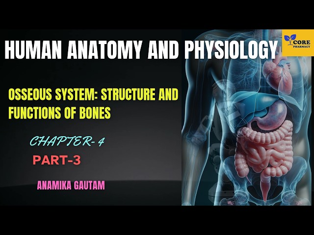 HAP, Chapter 4, Part 4 | Skeletal System: Structure and Functions | University + Competitive Exam