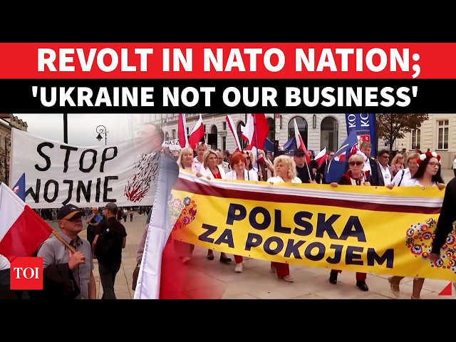 'Stop This Idiocy Of Backing Ukraine': Key NATO Nation Erupts Against West's Support To Kyiv
