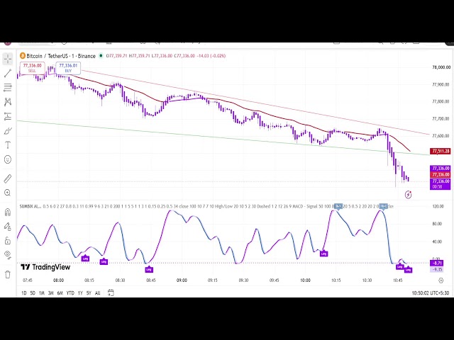 Bitcoin Live Educational Alert Signals | Long & Short Using Sumbix Algo