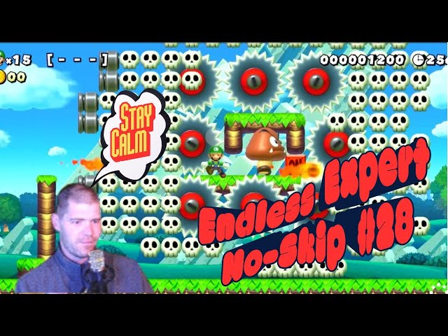 SMM2 Endless Expert No Skip #28