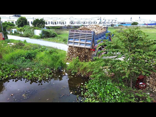 First Start Amazing PROJECT!! Filling Land Delete Deep Fish Pond Use D21P Bulldozer & 5Ton Truck.