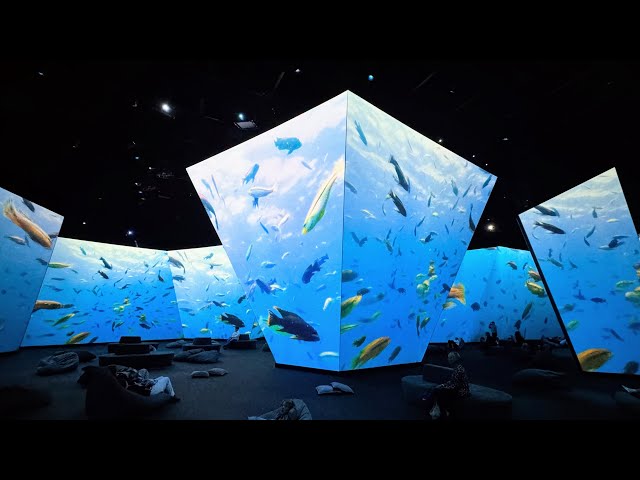 BBC Earth Experience - Melbourne