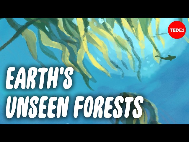 The magical forest realm hiding at the bottom of the ocean - Luka Seamus Wright and Salomé Buglass