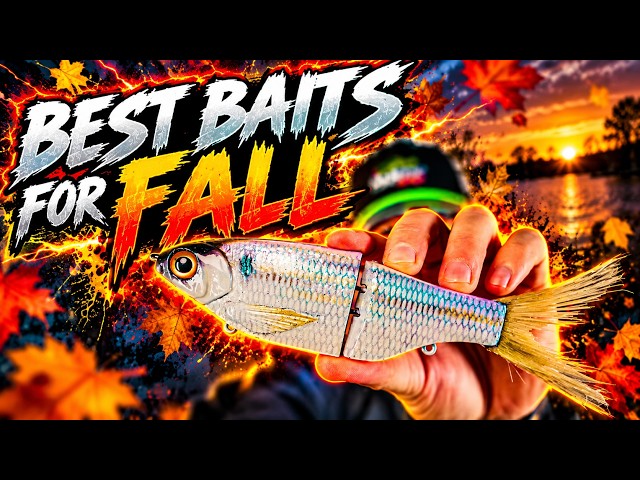 Fall Bait Breakdown + Swimbait Unboxing