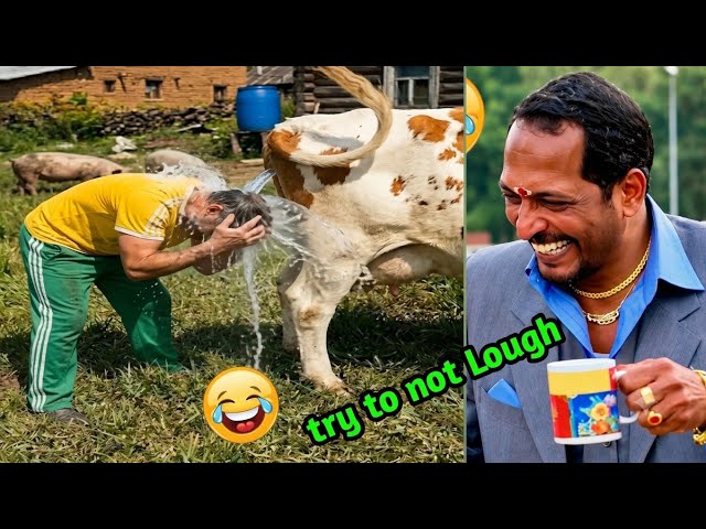 The best of the funniest videos of 2026😂Try Not To Laugh Challenge😂Crazy Funny Compilati2026 part-08