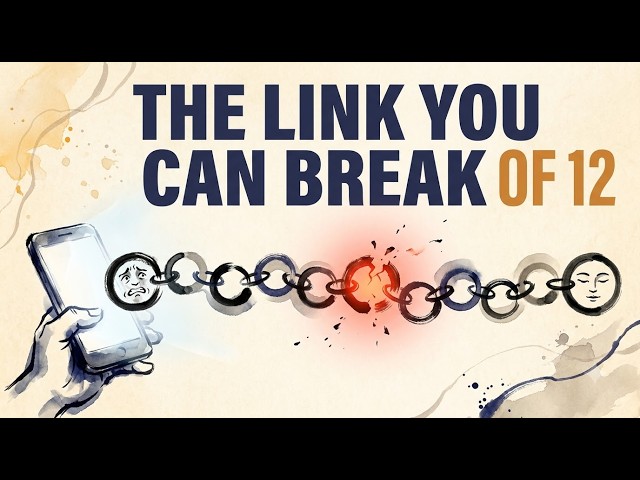 The Twelve Links That Run Your Life (And You Can’t See a Single One)