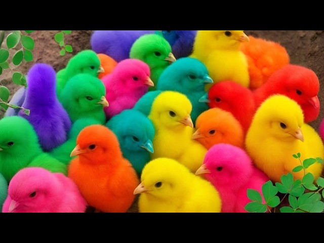 Relaxing Music with Singing - Beautiful Piano Music & biola Music by Soothing Relaxation