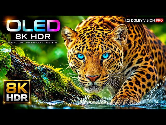 Unbelievable 8K 120fps Video | 8K HDR Dolby Vision 60FPS | 4K Video/8K Video ULTRA HD TV