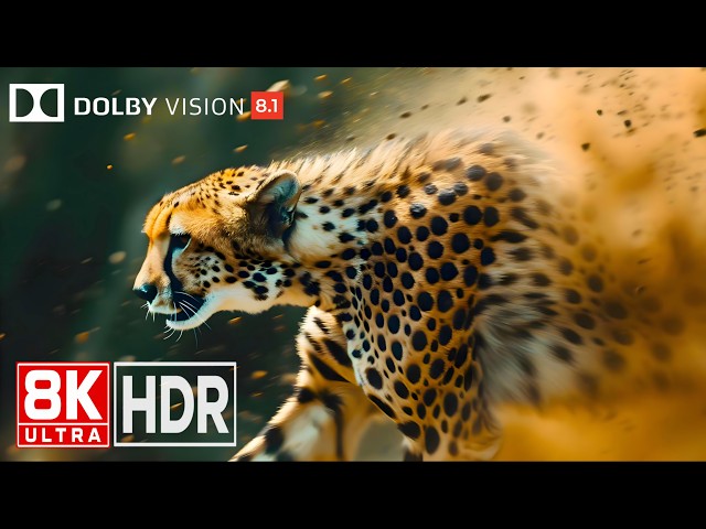 NATURE IN COLORS 🦋OLED – MicroLED Demo | 8K Ultra HDR | Dolby Vision™ | 60fps