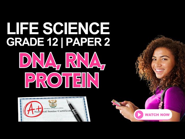 Grade 12 Life Science | Paper 2 Exam Revision | DNA, RNA & Protein Synthesis (CAPS/NSC)