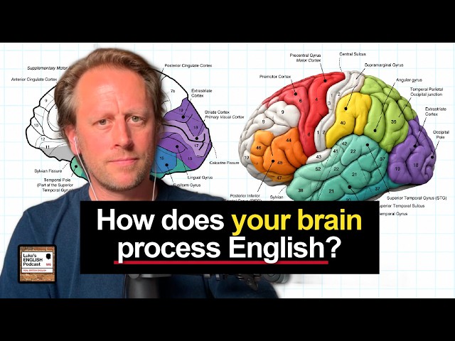 Neuroscience & Learning English 🧠 11 Surprising Facts [1002]
