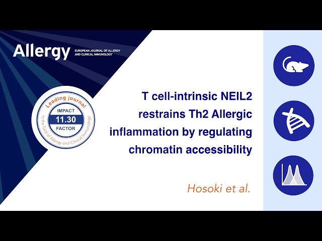 T Cell-Intrinsic NEIL2 Restrains Th2 Allergic Inflammation by Regulating Chromatin Accessibility