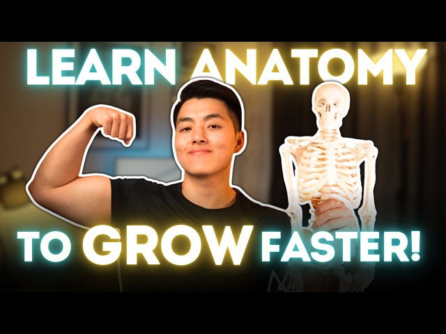 Anatomy Tips for Faster Muscle Gains