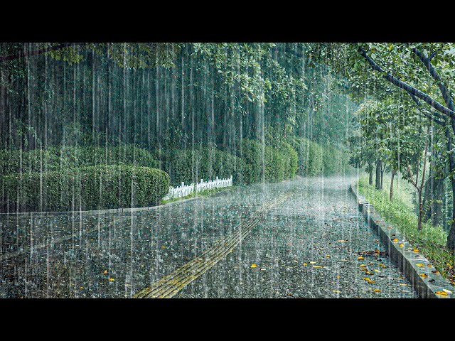 [WARNING] You’ll Fall Asleep Instantly Rainstorm ASMR for Insomnia Relief