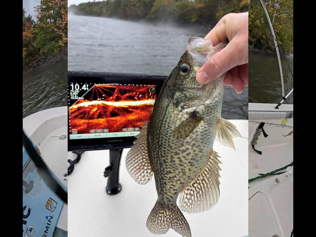 This Cold front Had these Crappie Stacked Like Crazy!!