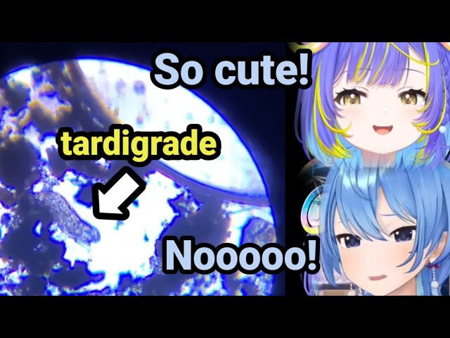 New Hololive Member traumatising Suisei on her first day at work...