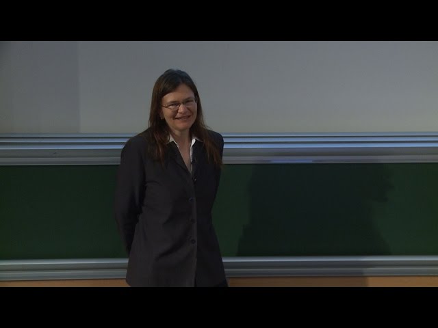 Lydia BIERI - The Einstein Equations and  Gravitational Radiation