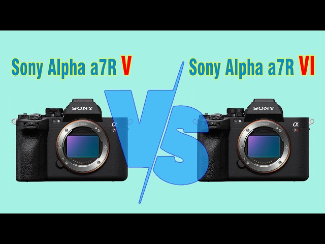 Sony A7R V vs A7R VI: The Ultimate High-Resolution Showdown for Wildlife & Bird Photography
