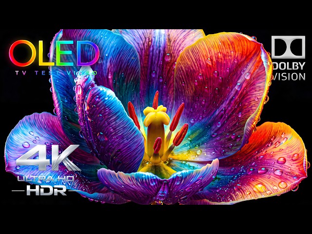 The 4K OLED Test That Humiliated Premium TVs | True 4K HDR 240FPS Dolby Vision (4K TV)
