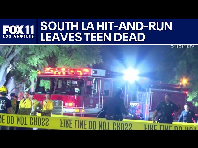 LIVE: LAPD searching for suspect in deadly hit-and-run, Long Beach declares state of emergency an...