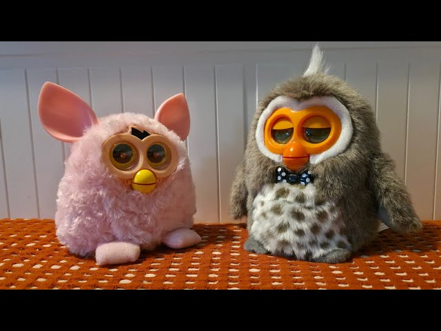 Phoebe and Hibou Furby Fake Conversation